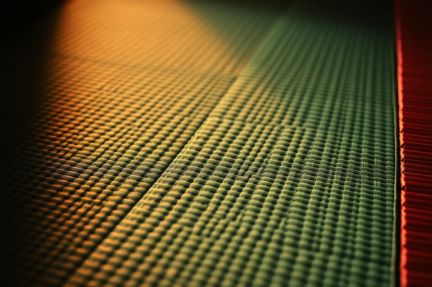 La surface tressée d'un tatami vert, éclairée de biais, avec une bande rouge sur le bord.